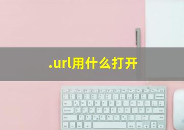 .url用什么打开