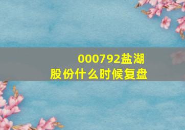 000792盐湖股份什么时候复盘