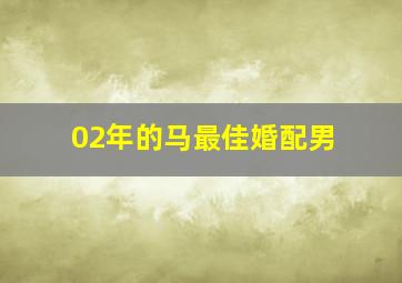 02年的马最佳婚配男