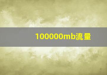 100000mb流量