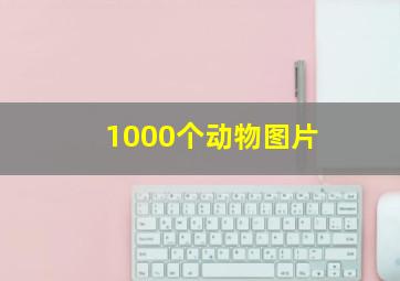 1000个动物图片