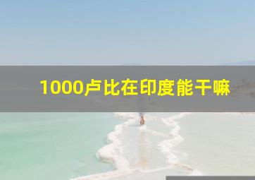 1000卢比在印度能干嘛