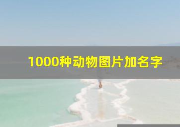 1000种动物图片加名字