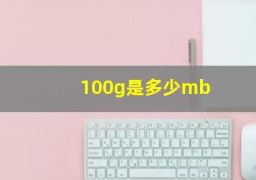 100g是多少mb