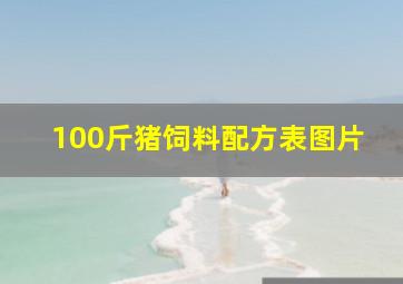 100斤猪饲料配方表图片