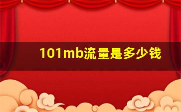 101mb流量是多少钱