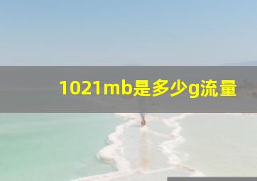 1021mb是多少g流量