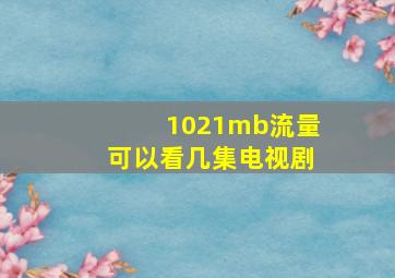 1021mb流量可以看几集电视剧