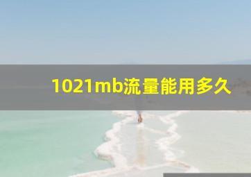 1021mb流量能用多久