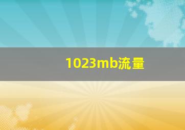 1023mb流量