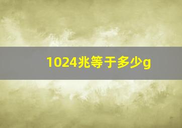 1024兆等于多少g