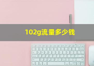 102g流量多少钱