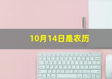 10月14日是农历