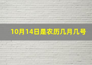 10月14日是农历几月几号