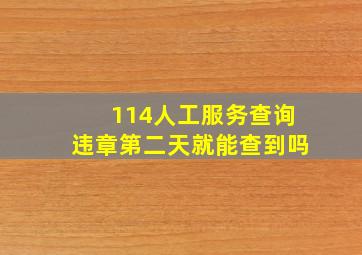 114人工服务查询违章第二天就能查到吗