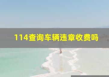 114查询车辆违章收费吗