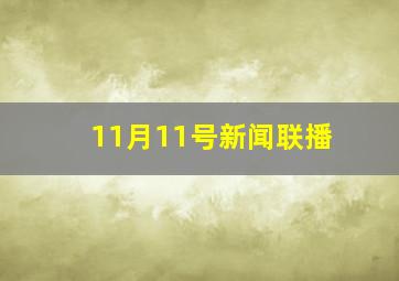 11月11号新闻联播