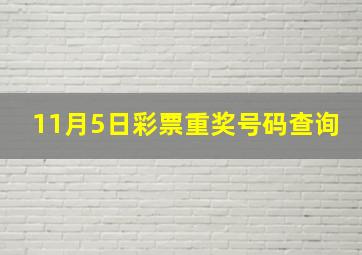 11月5日彩票重奖号码查询