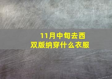 11月中旬去西双版纳穿什么衣服