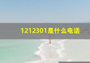 1212301是什么电话