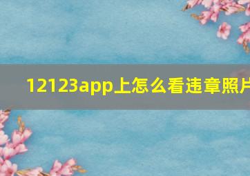 12123app上怎么看违章照片