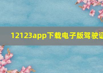 12123app下载电子版驾驶证