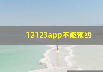 12123app不能预约