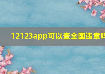 12123app可以查全国违章吗