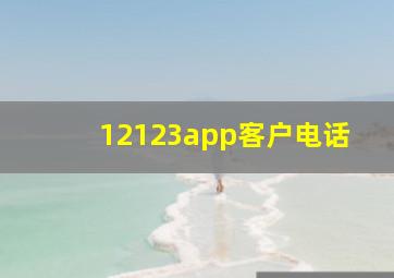 12123app客户电话