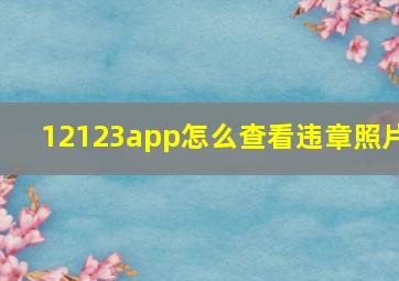 12123app怎么查看违章照片