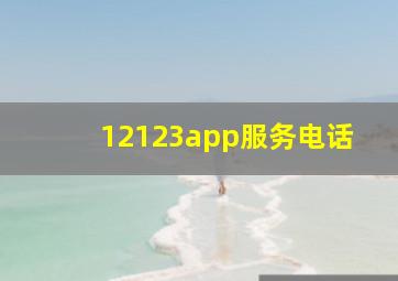 12123app服务电话