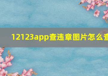 12123app查违章图片怎么查