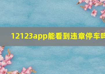 12123app能看到违章停车吗