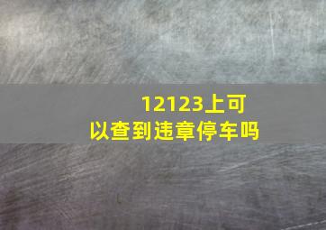 12123上可以查到违章停车吗