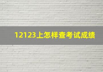 12123上怎样查考试成绩