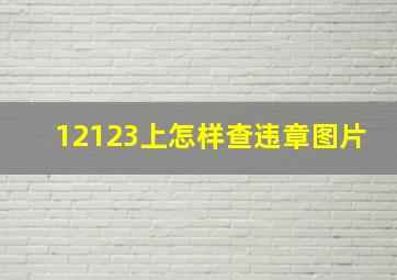 12123上怎样查违章图片