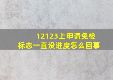 12123上申请免检标志一直没进度怎么回事