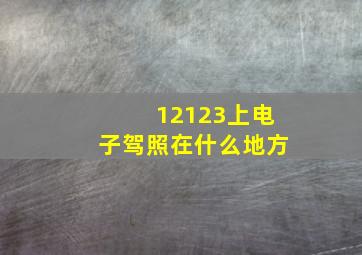 12123上电子驾照在什么地方