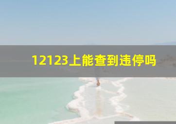 12123上能查到违停吗