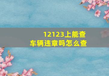 12123上能查车辆违章吗怎么查