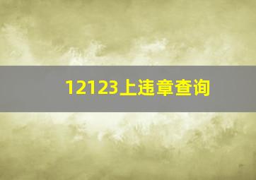 12123上违章查询