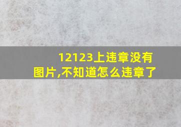 12123上违章没有图片,不知道怎么违章了