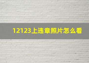 12123上违章照片怎么看