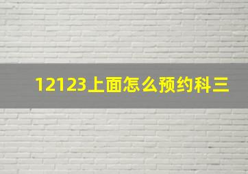 12123上面怎么预约科三