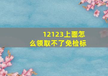 12123上面怎么领取不了免检标