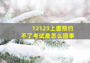 12123上面预约不了考试是怎么回事