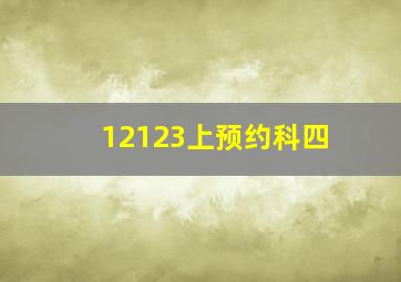 12123上预约科四