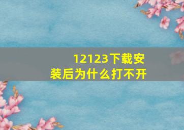 12123下载安装后为什么打不开