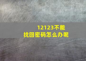 12123不能找回密码怎么办呢