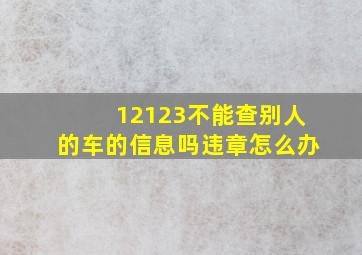 12123不能查别人的车的信息吗违章怎么办